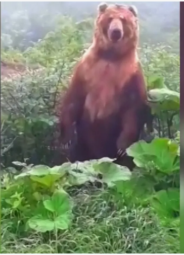 Случай в путешествии.