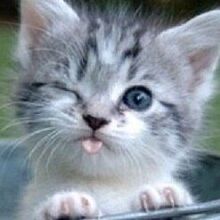 Денис, г. Воронеж