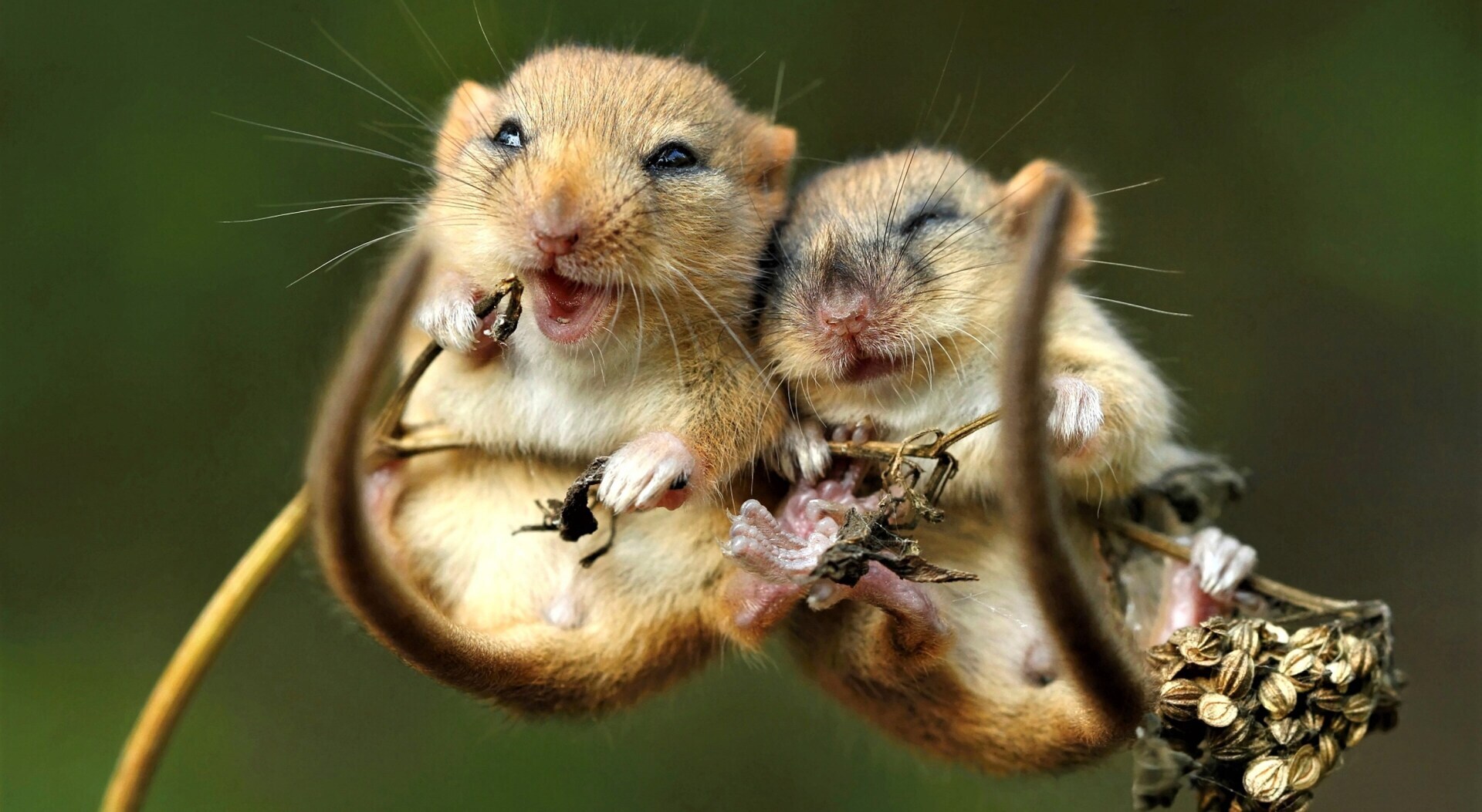 Для настроения: смешные истории и анекдоты из жизни!