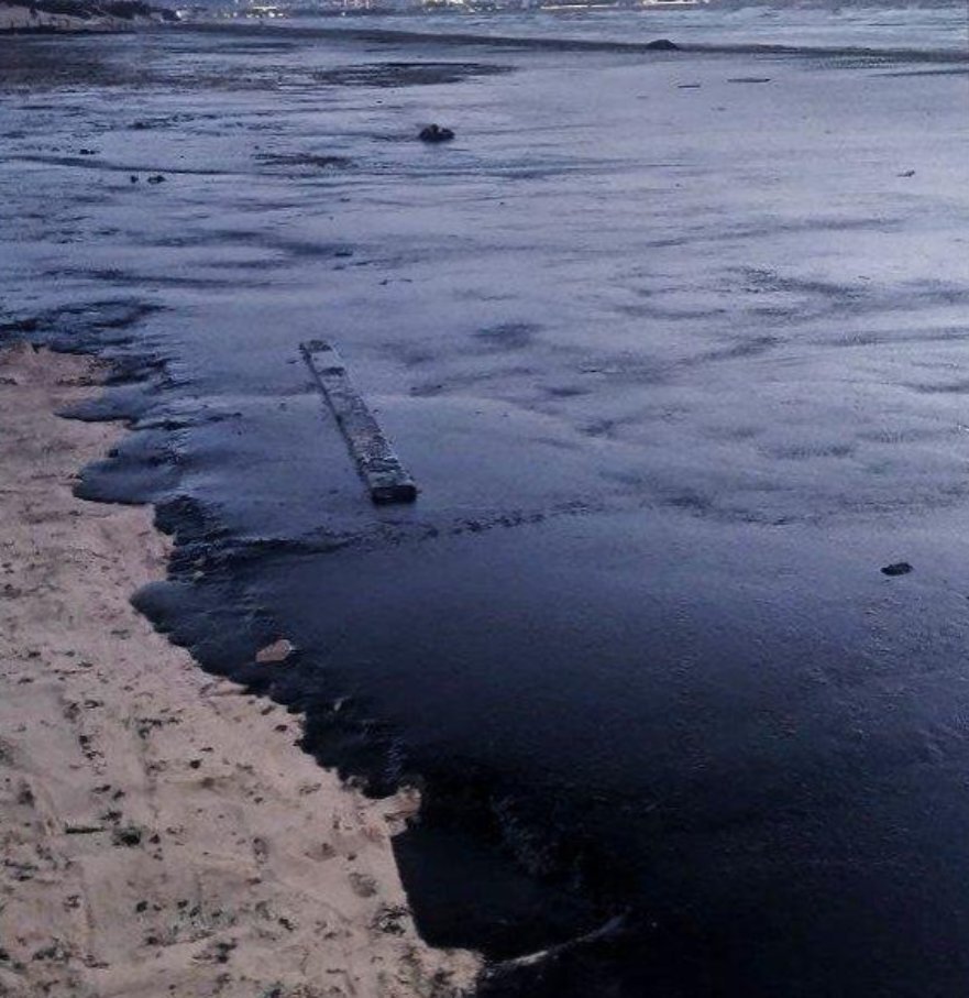 Репортаж с Черноморского побережья: как Анапа борется с экологическим бедствием. Боль, трудности и последствия ЧП