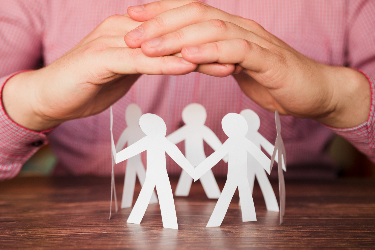 В Подмосковье бум социального предпринимательства