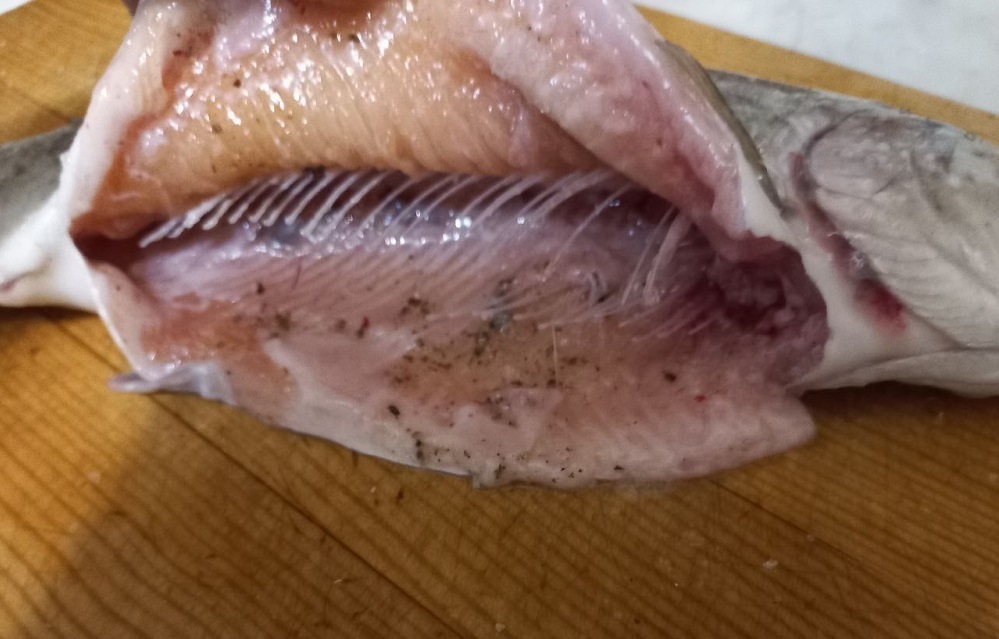 Почему мясо рыбы отделяется от костей?