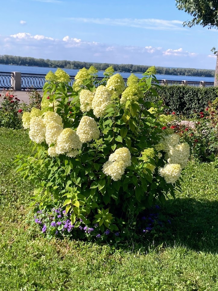 Ах, Самара-городок! Давайте прогуляемся по набережной этого замечательного города!