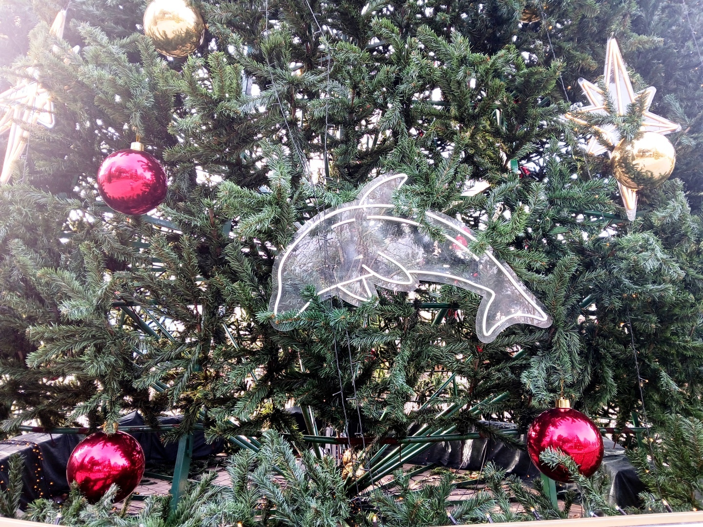 В Краснодарском крае введен краевой режим ЧС. Продолжение темы о безответственности чиновников