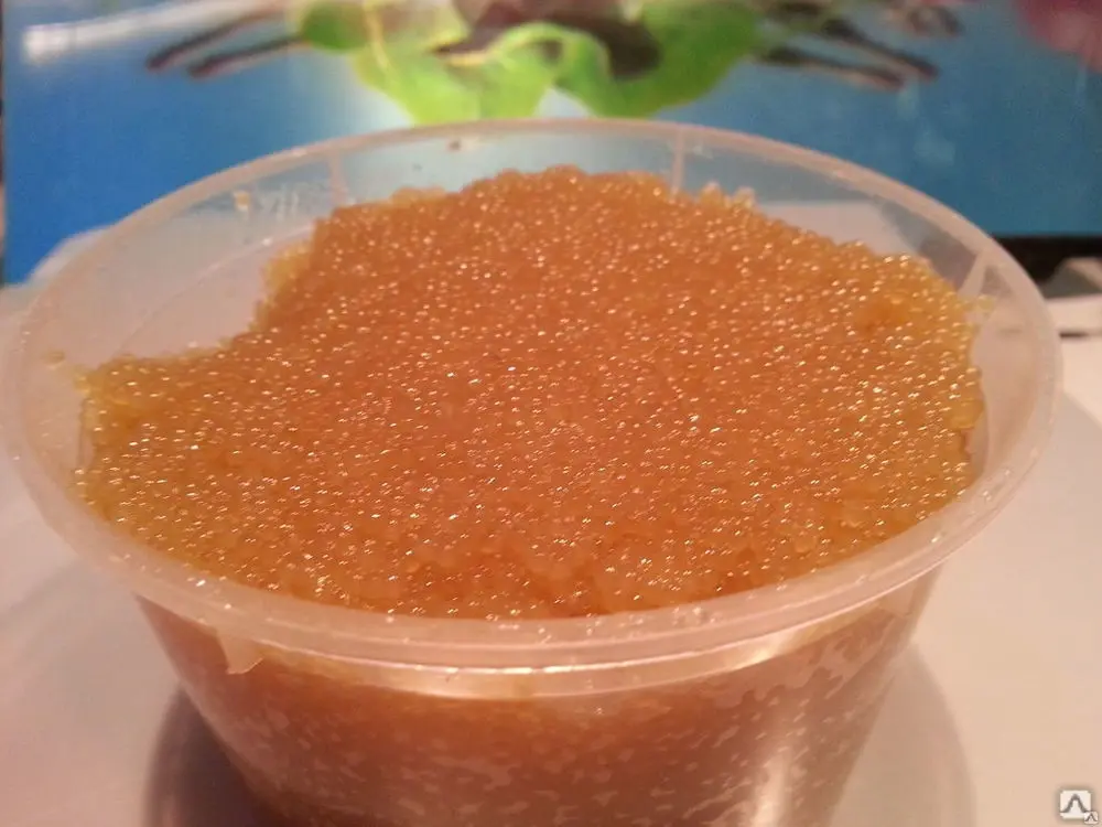 Первая зимняя рыбалка: удача на льду.И моя первая щучья игра.А как вы солите щучью икру?