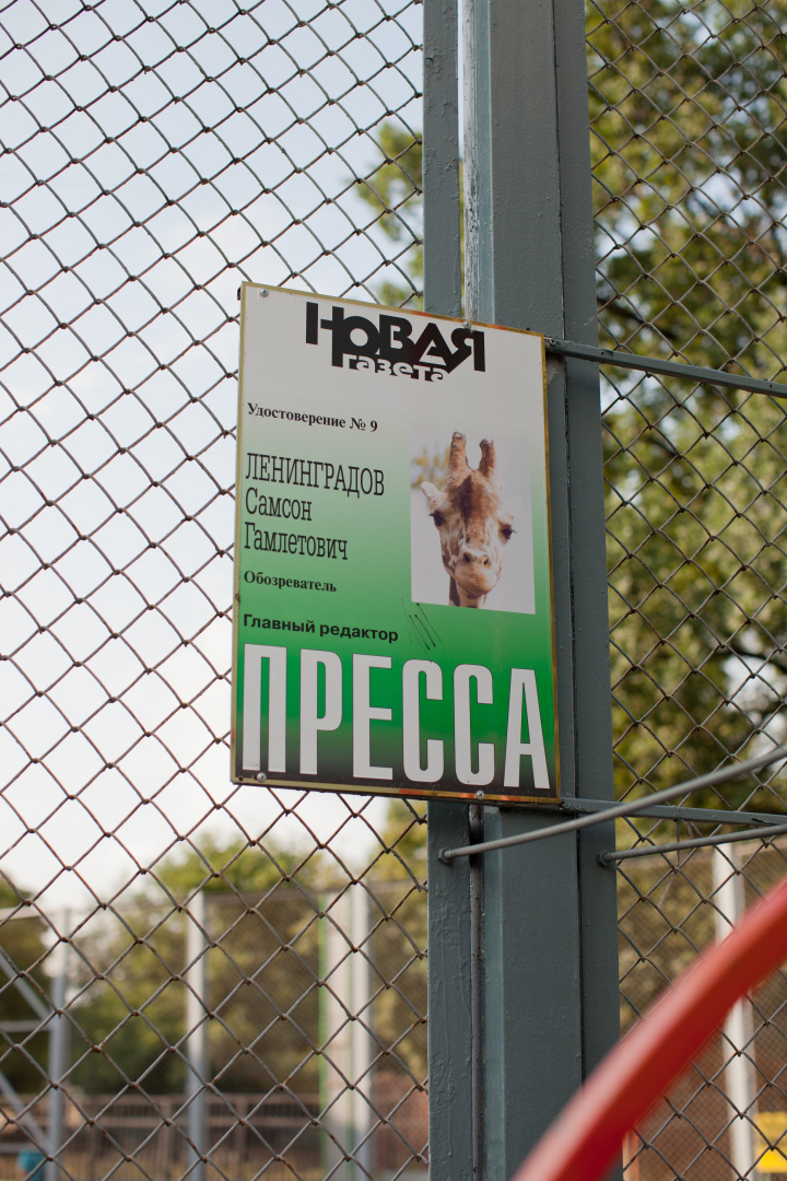 Стал чучелом. Умершего жирафа Самсона из Московского зоопарка выставили в музее