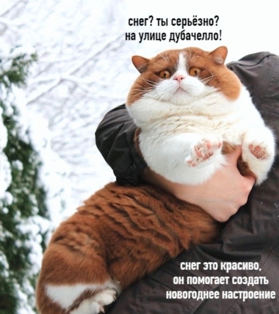 Новый год совсем скоро!!!Хочу поделиться весельем.