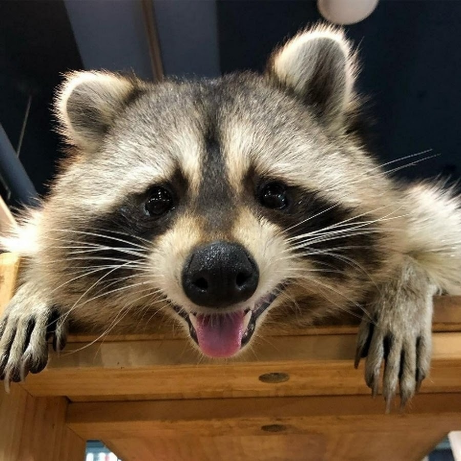 Для настроения: комичные истории из жизни!