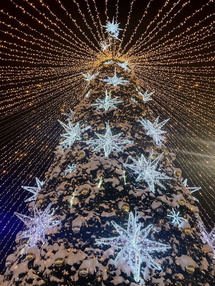 Новогодний Мурманск в фотографиях! Праздничные украшения, ёлки, инсталляции. Для новогоднего настроения!