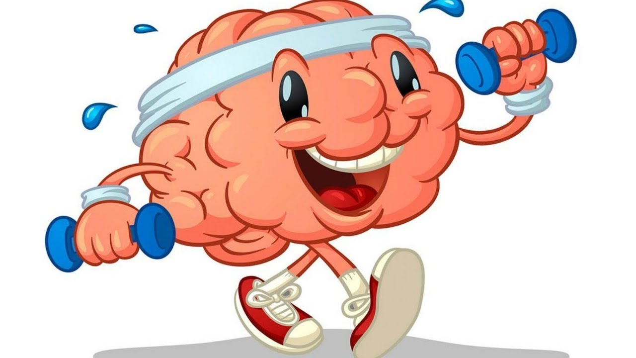 Нужна ли мозгу физическая энергия?