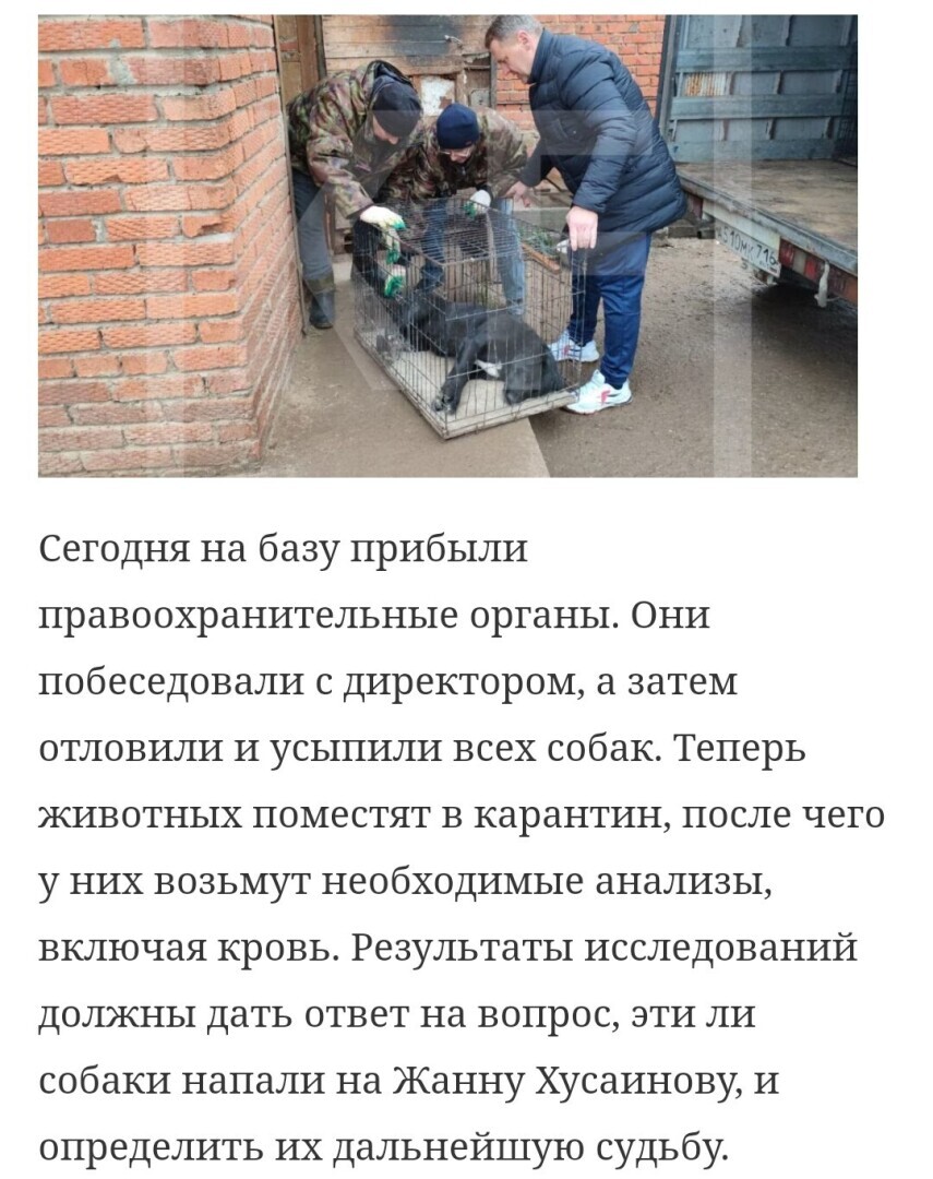 Будет ли поставлена точка в деле о трагической смерти женщины