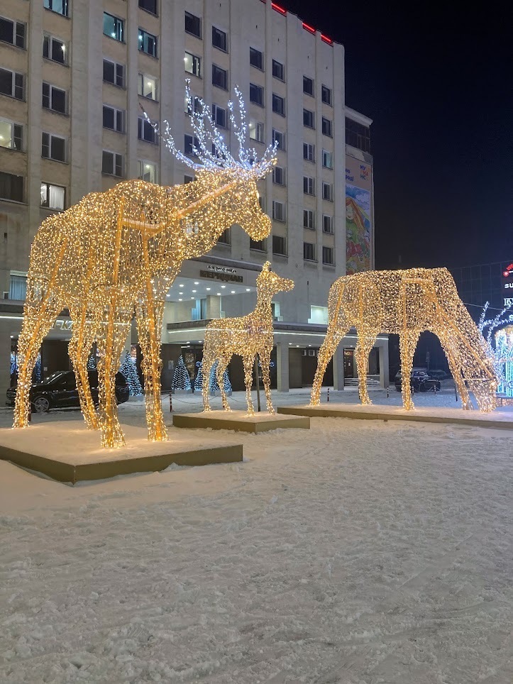 Новогодний Мурманск в фотографиях! Праздничные украшения, ёлки, инсталляции. Для новогоднего настроения!