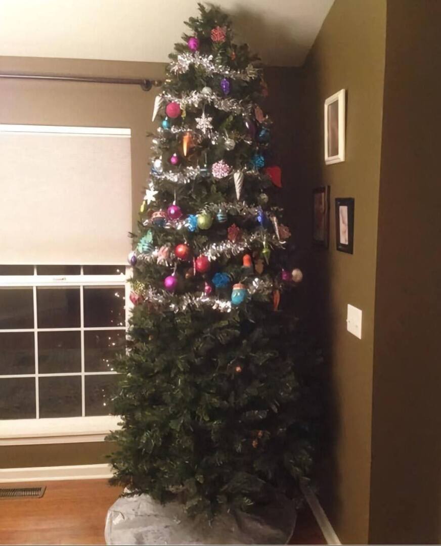 Как мы защищаем елку от домашних питомцем