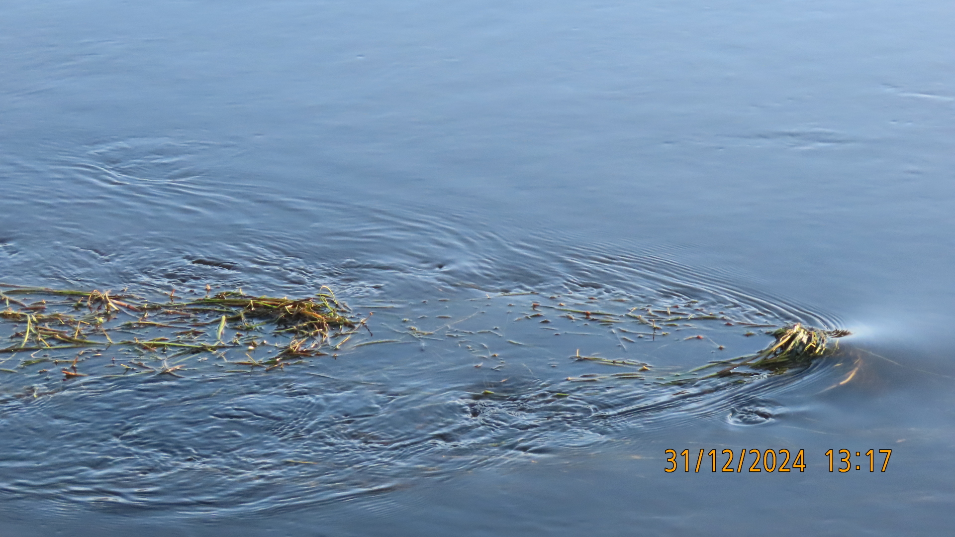 Новый Год к нам мчится / Фотографии.