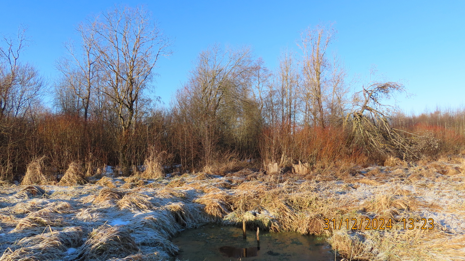 Новый Год к нам мчится / Фотографии.