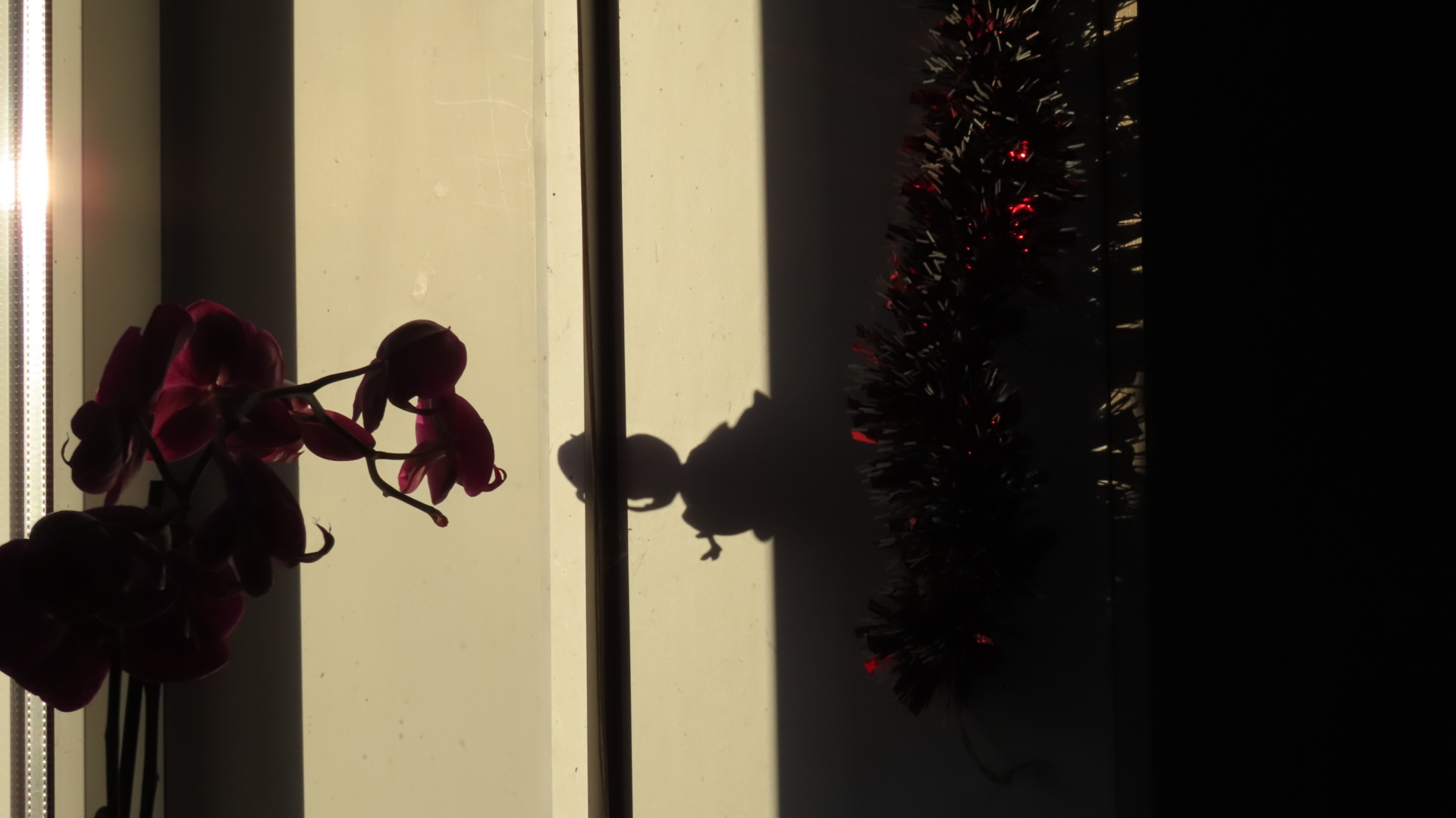 Новый Год к нам мчится / Фотографии.