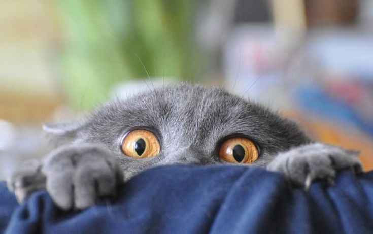 Когда вы уже перестанете посылать в старый год все неприятности, а также оставлять в нём всё плохое