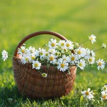 Марина, г. Новосибирск