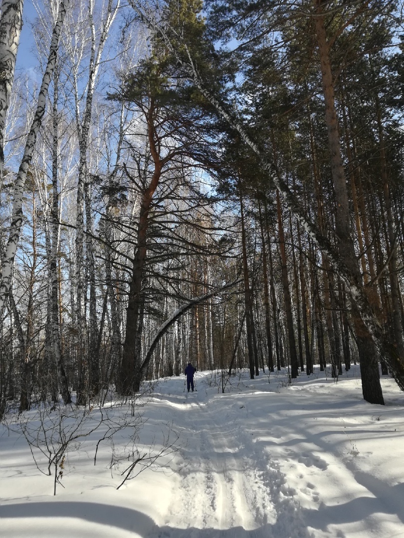 Пять правил для после праздничного похудения, чтобы не бояться весов и мигающих цифирек