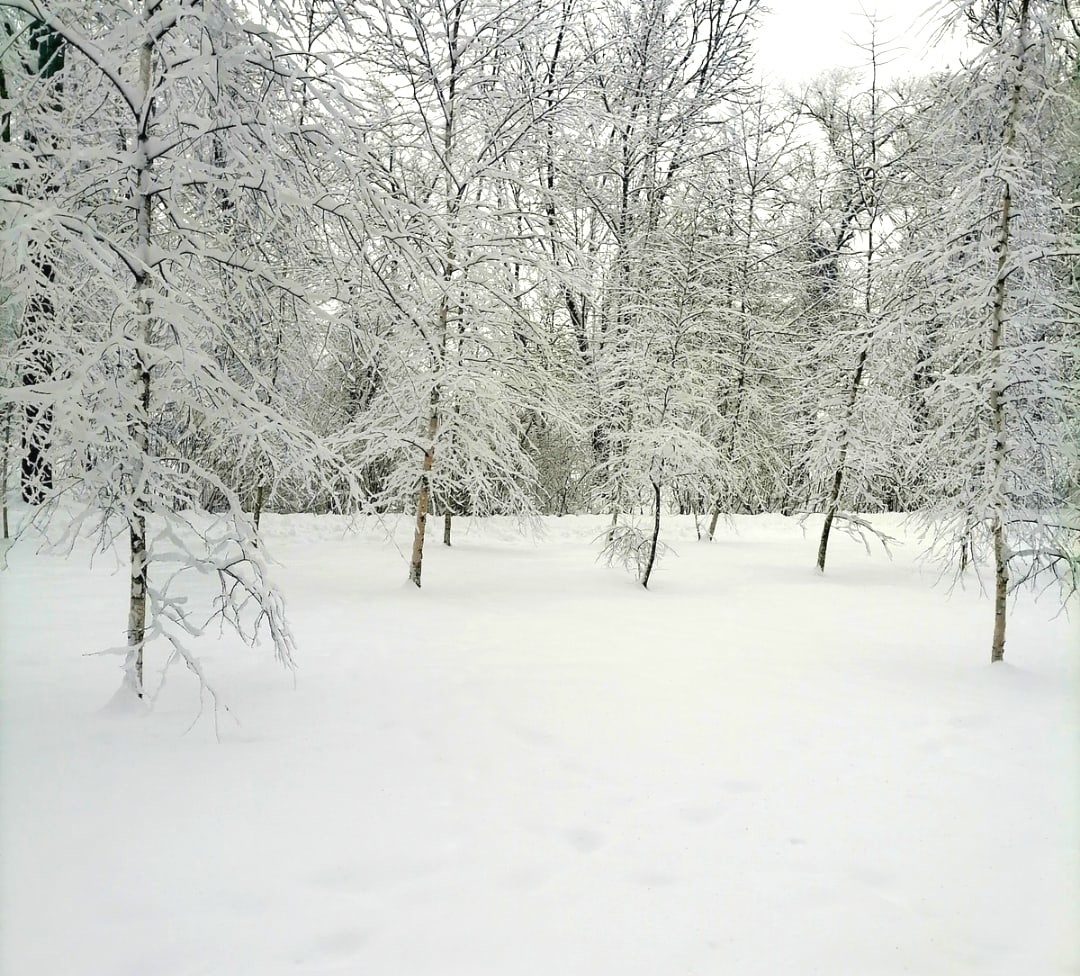 Устроила себе выходной: уютный вечер с новогодними фильмами и вкусной пиццей