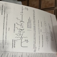 IMG_5858.jpeg