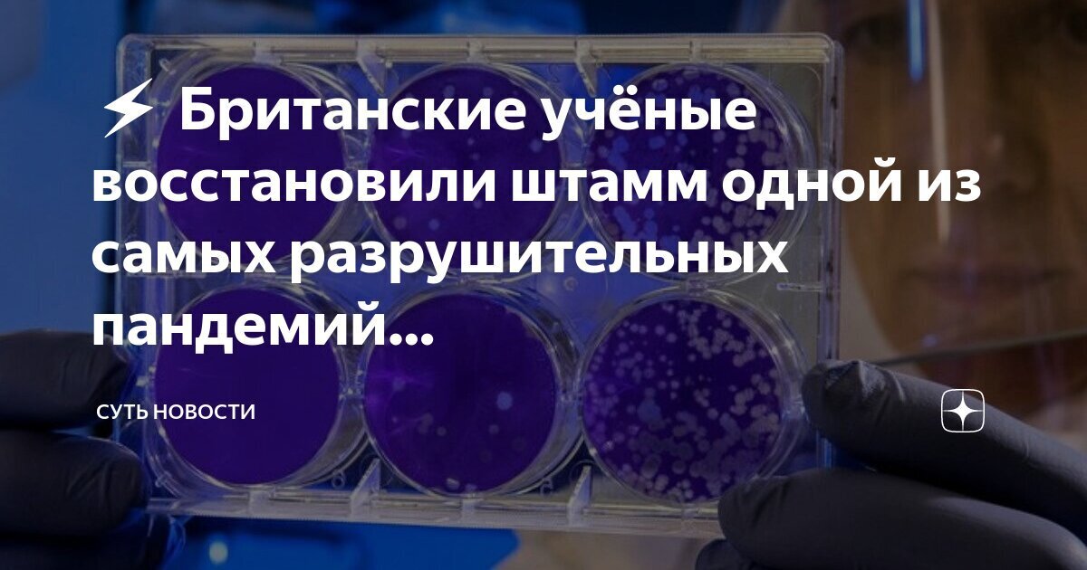 С пандемией боремся, и работа спорится!