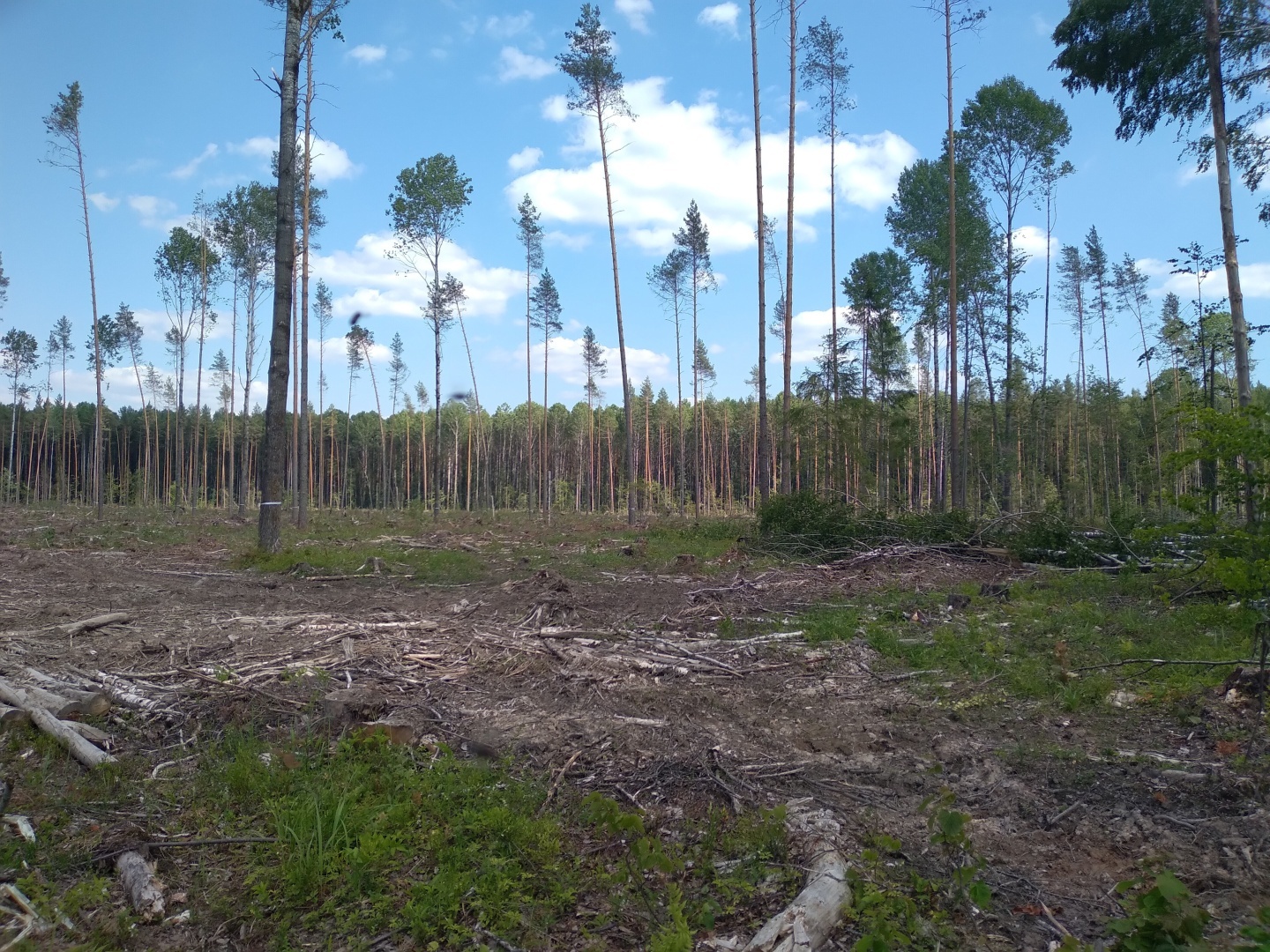 Почему мелеют и исчезают реки???