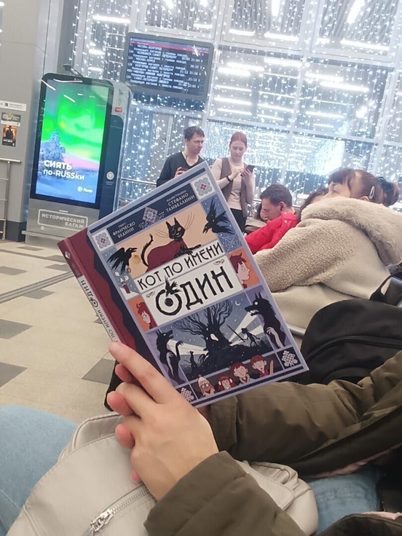 Книга «Кот по имени Один»