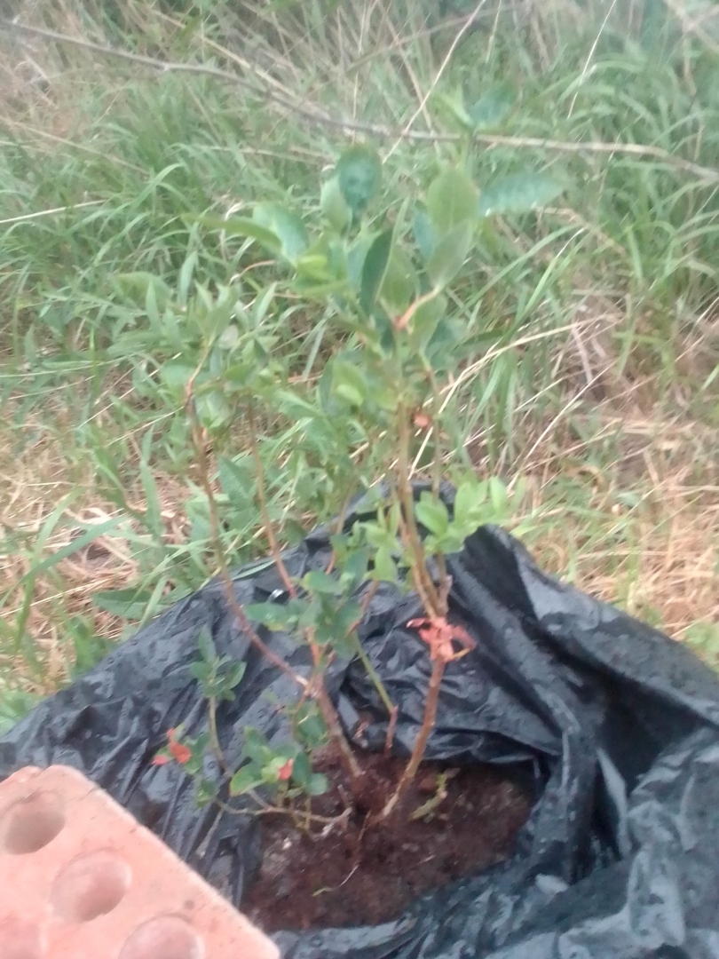 На государство надейся, а сам не плошай! Как жить многодетной семье без пособий