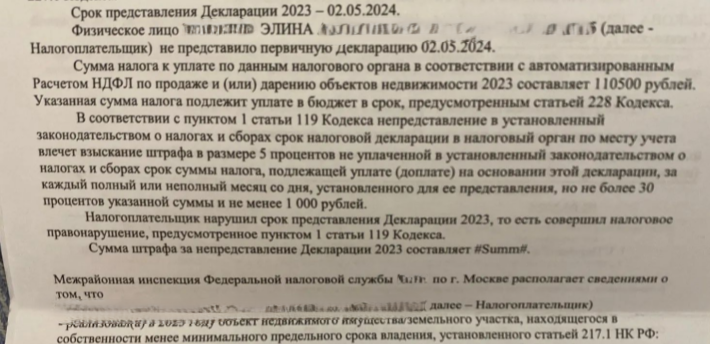 Налоговая, наследник и счастливый Новый год! Опять из личной практики