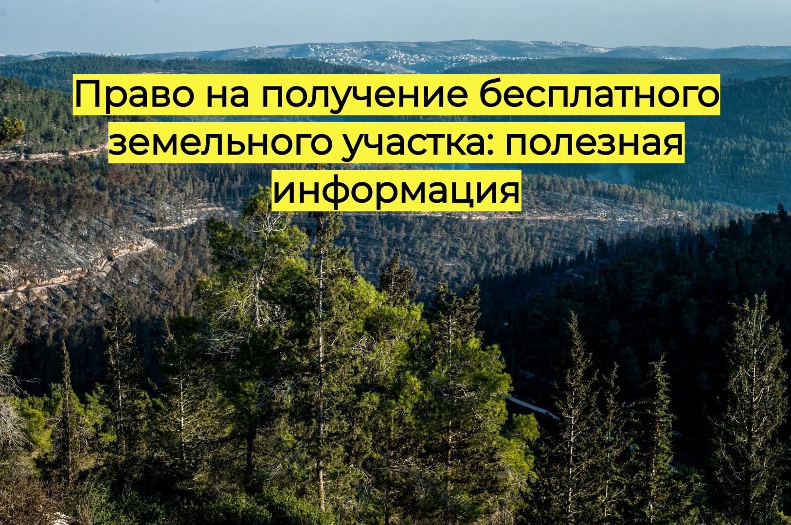 Право на получение бесплатного земельного участка: полезная информация