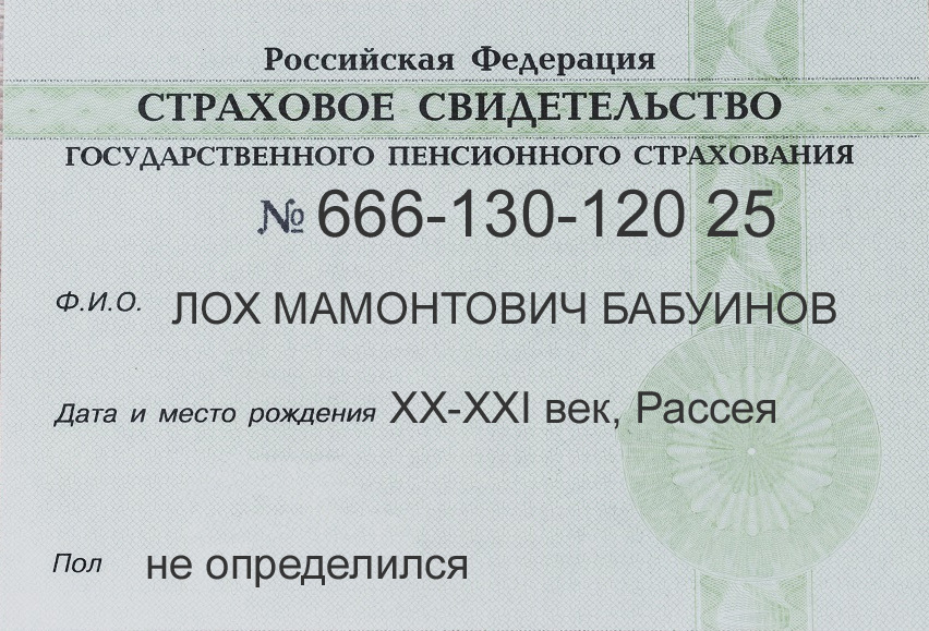 Приготовьте Ваш СНИЛС