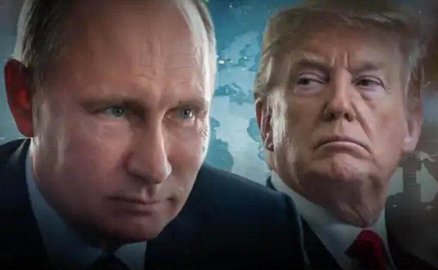 Январские подснежники в Москве