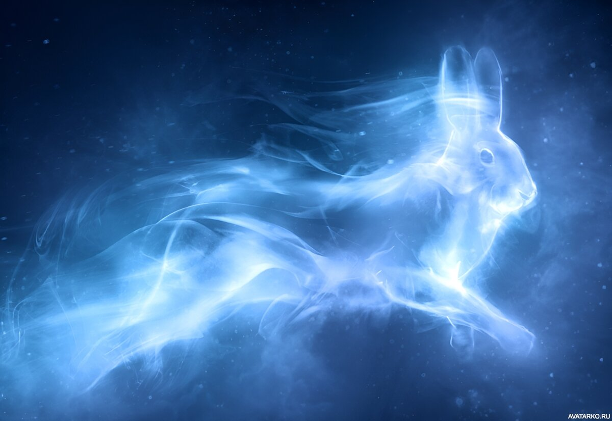 Кролики в мире Гарри Поттера: волшебные ушастики, которые меняют всё