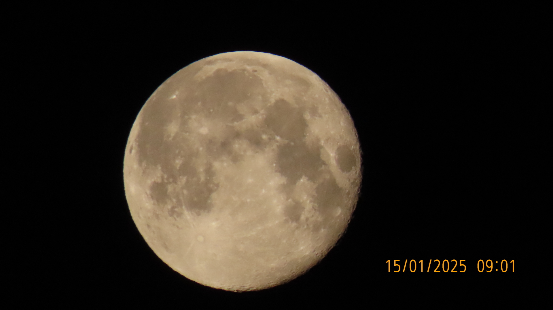 Анонс-Предисловие. /Книжки с полки/ Грегори Макдональд /Эдуард Борнхёз