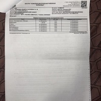 IMG_7381.jpeg