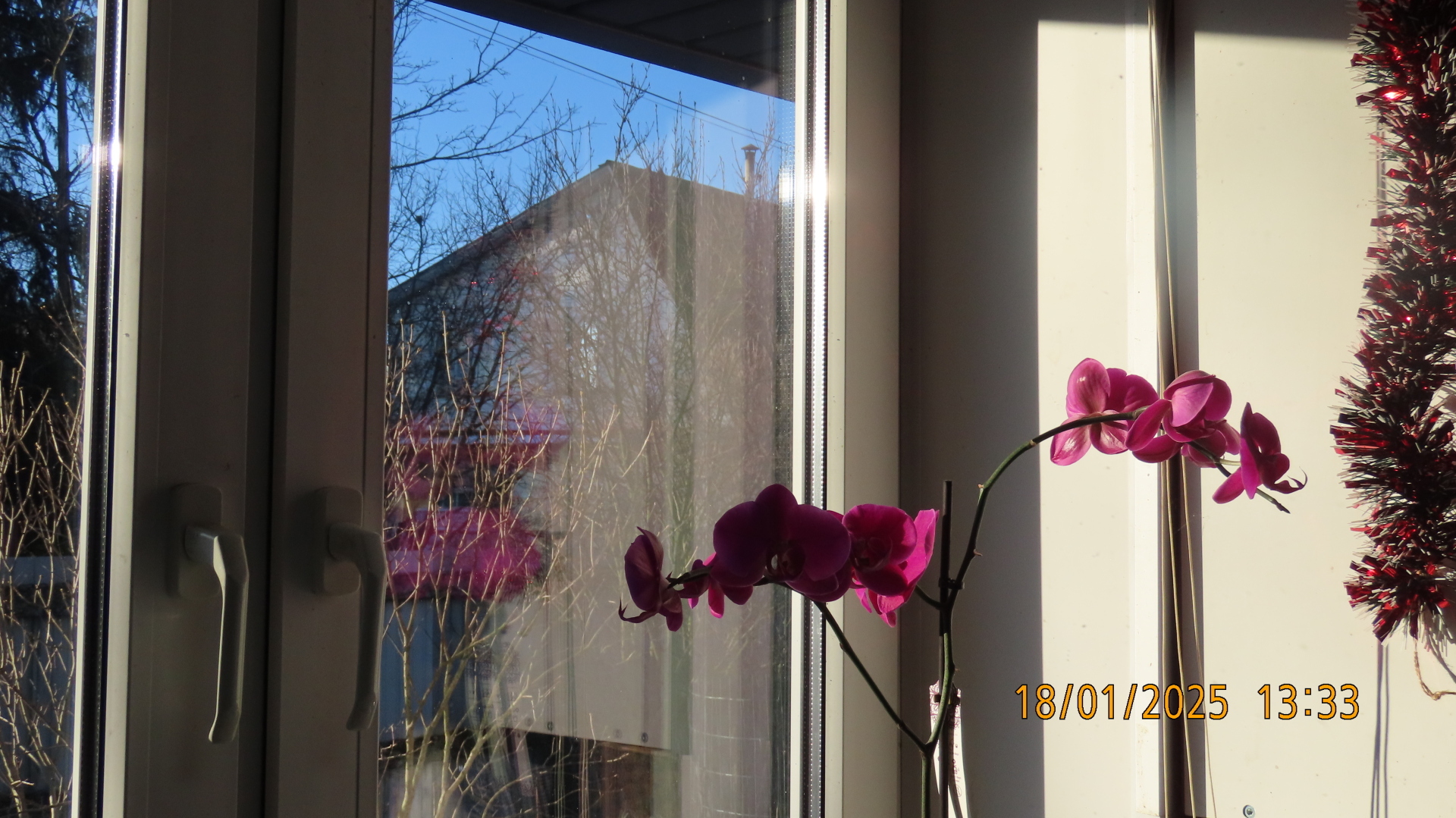 «Последняя реликвия»/Галопом по Европам/ Книжки с полки / Эдуард Борнхёз/ (Часть 2)