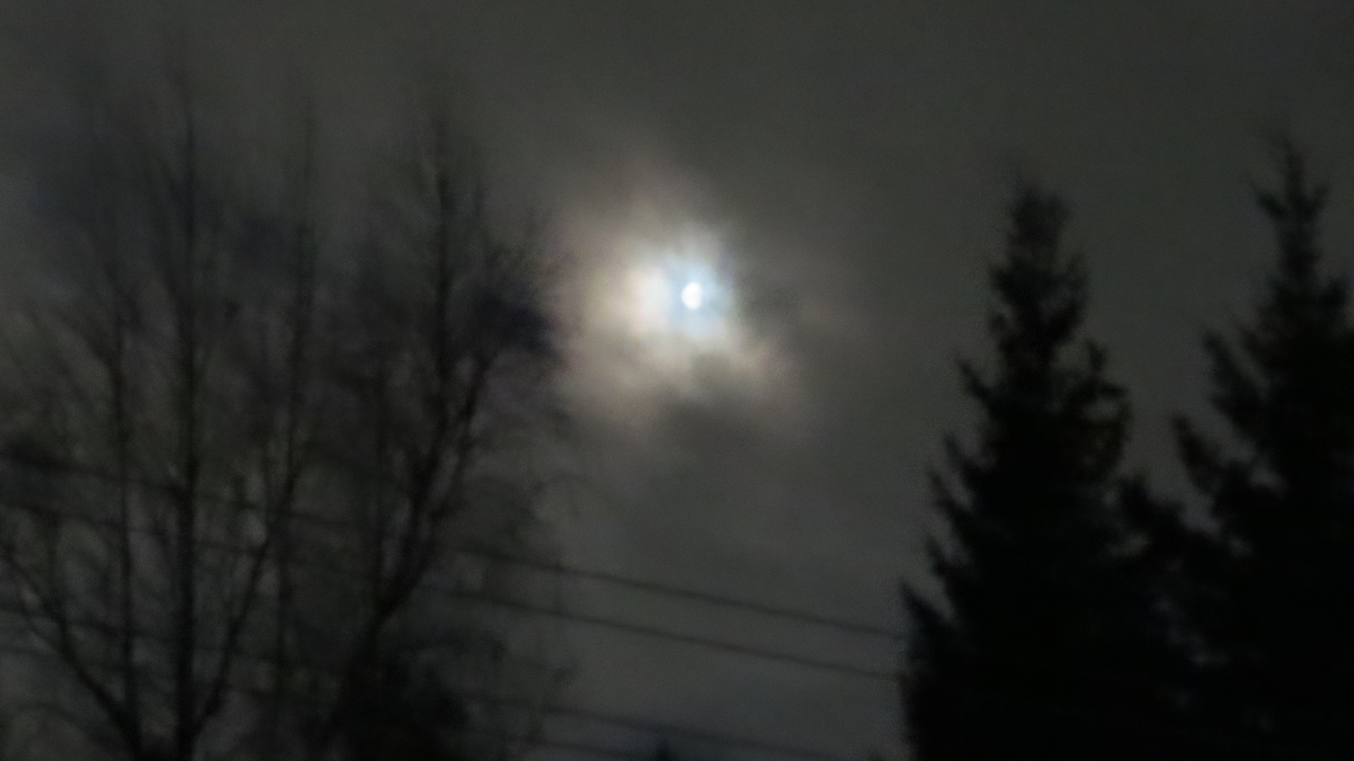 «Последняя реликвия»/Галопом по Европам/ Книжки с полки / Эдуард Борнхёз/ (Часть 2)