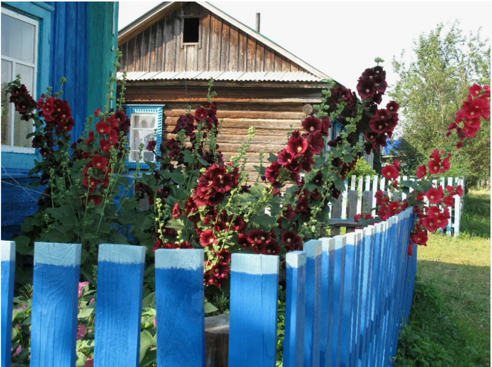 Зачем нужен палисадник перед домом?