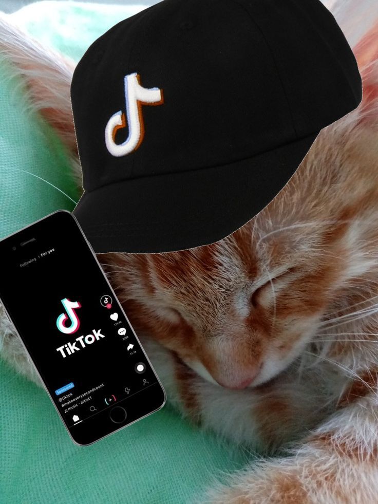 Санкции не только против России: Байден запретил TikTok в США с 19-го января