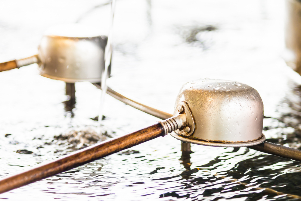 Чего нельзя делать в день собора Иоанна Крестителя: приметы и запреты