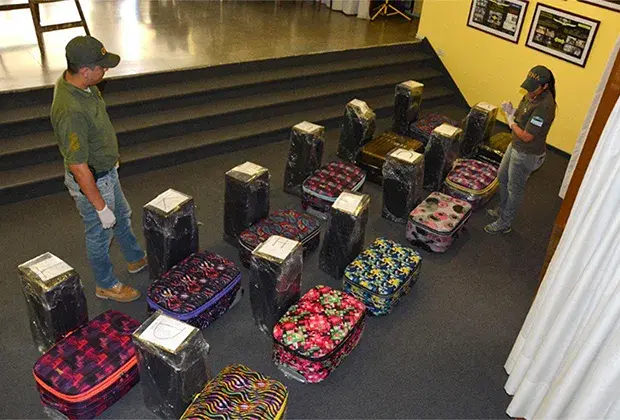 Перехватывают в 10 раз больше. Наркодилеры серьезно увеличили ввоз кокаина в Россию