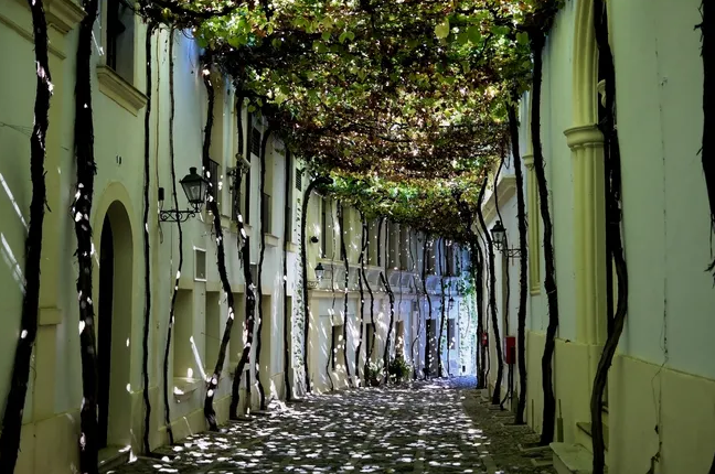 7 красивых улиц со всего мира