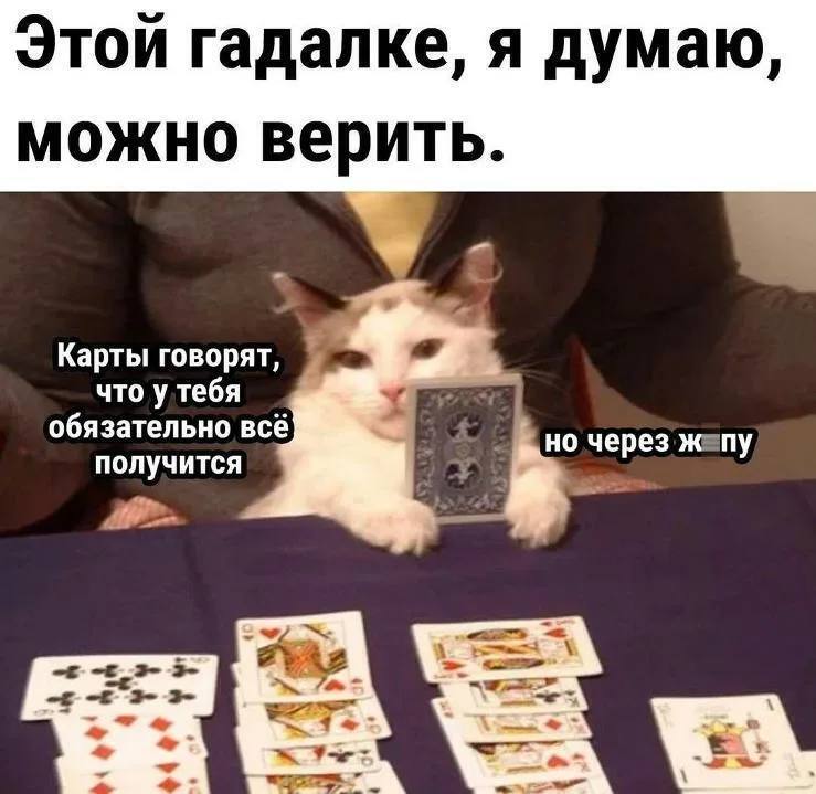 Таролог вне закона. Что теперь будет с данной сферой?