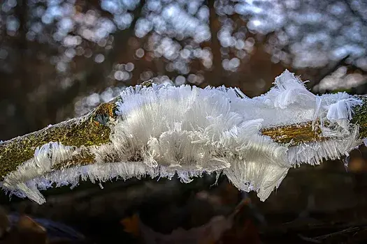 В столице России были замечены волосы изо льда.