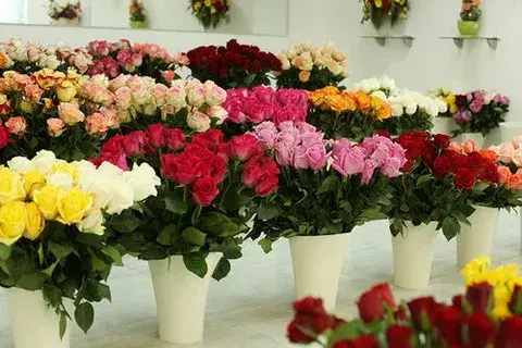 Ошибки при покупке цветов: как их избежать и сделать правильный выбор