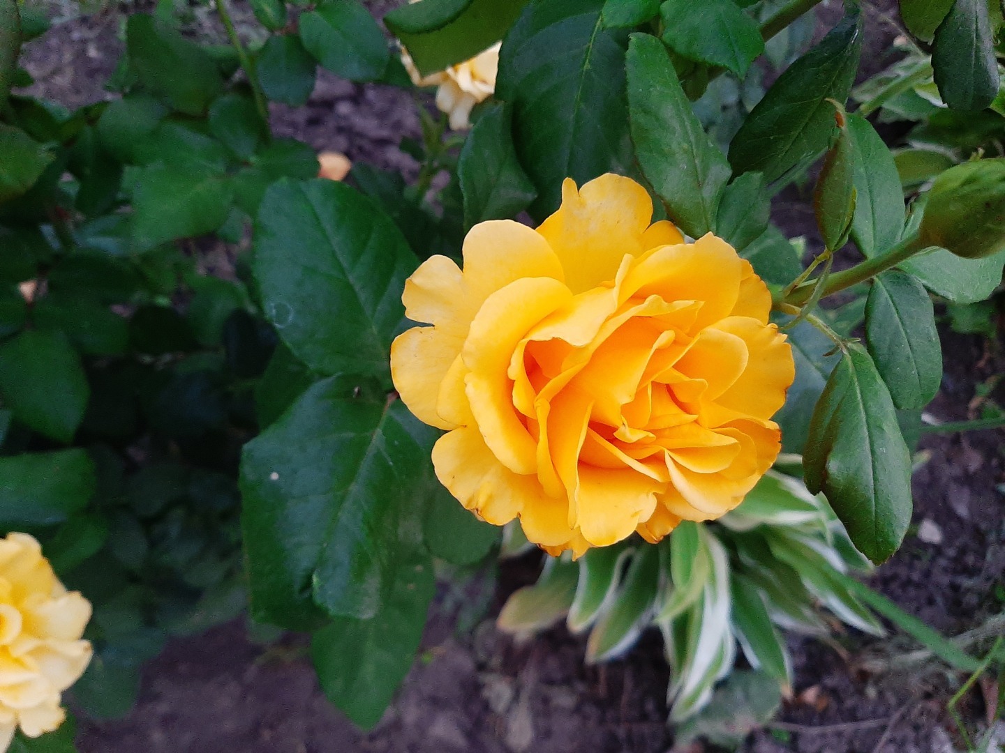 Без рациональности не сэкономить