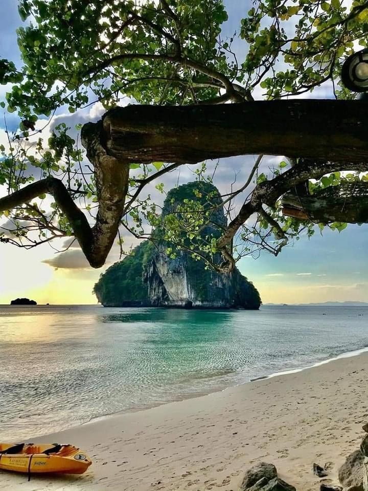 Пожизненное или смертная казнь? Россиянин выбросил 13-летнего сына за борт катера в Таиланде — мальчик погиб