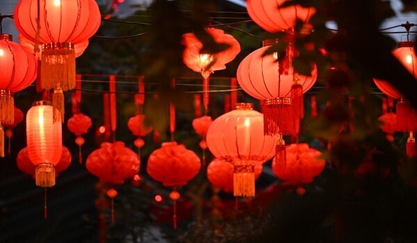 Китайский Новый год в «Аптекарском огороде»: драконы, фонарики и символ мудрости