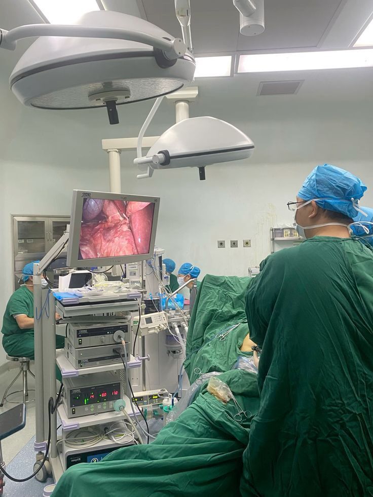 Фантастика или надежда на жизнь? Американка с пересаженной почкой свиньи прожила уже 61 день